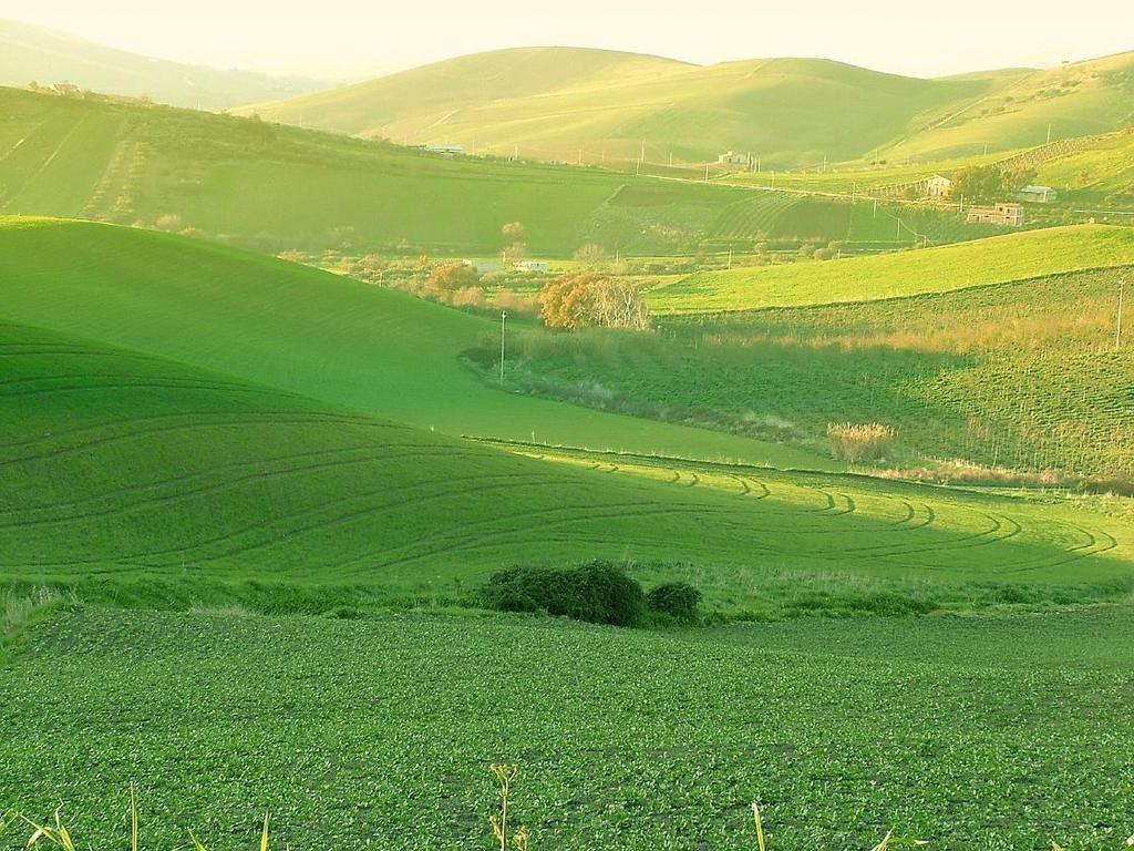 Agriturismo Ridocco Corleone Kültér fotó